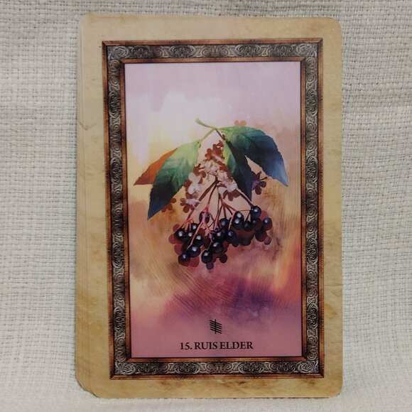 Celtic Tree Oracle - Picture 8 of 12